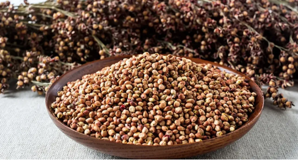 Bon à savoir : voici pourquoi le sorgho devrait devenir votre allié en nutrition