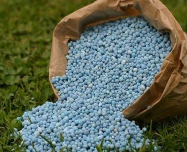 Bénin : le gouvernement soulage les producteurs avec une forte subvention des engrais